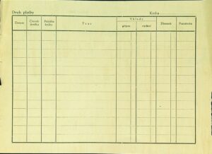Rosendorf Státní Prokuratura Praha, č.j. 8spt I 182 52 (4)