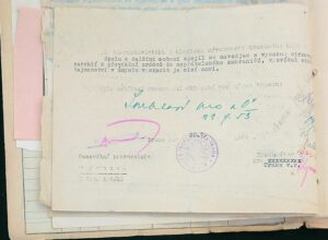 Vrbík Osobní Vězeňský Spis (20)